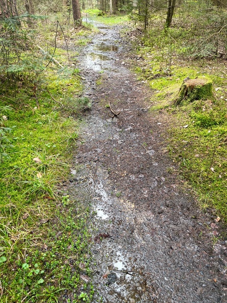 23-04-30 15-03-11 5251.jpeg